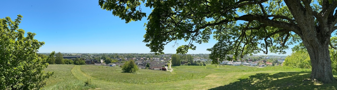 Elavtal i Skurup
