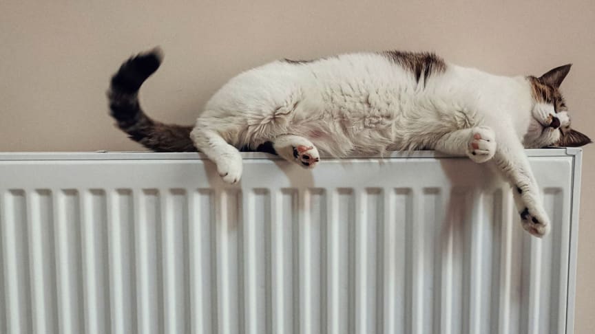 Fjärrvärme i Trelleborg – en klimatsmart och effektiv uppvärmning på frammarsch